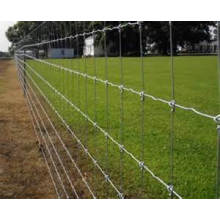 Galvanizado Knotted Wire Mesh Fence (XM-F-3)